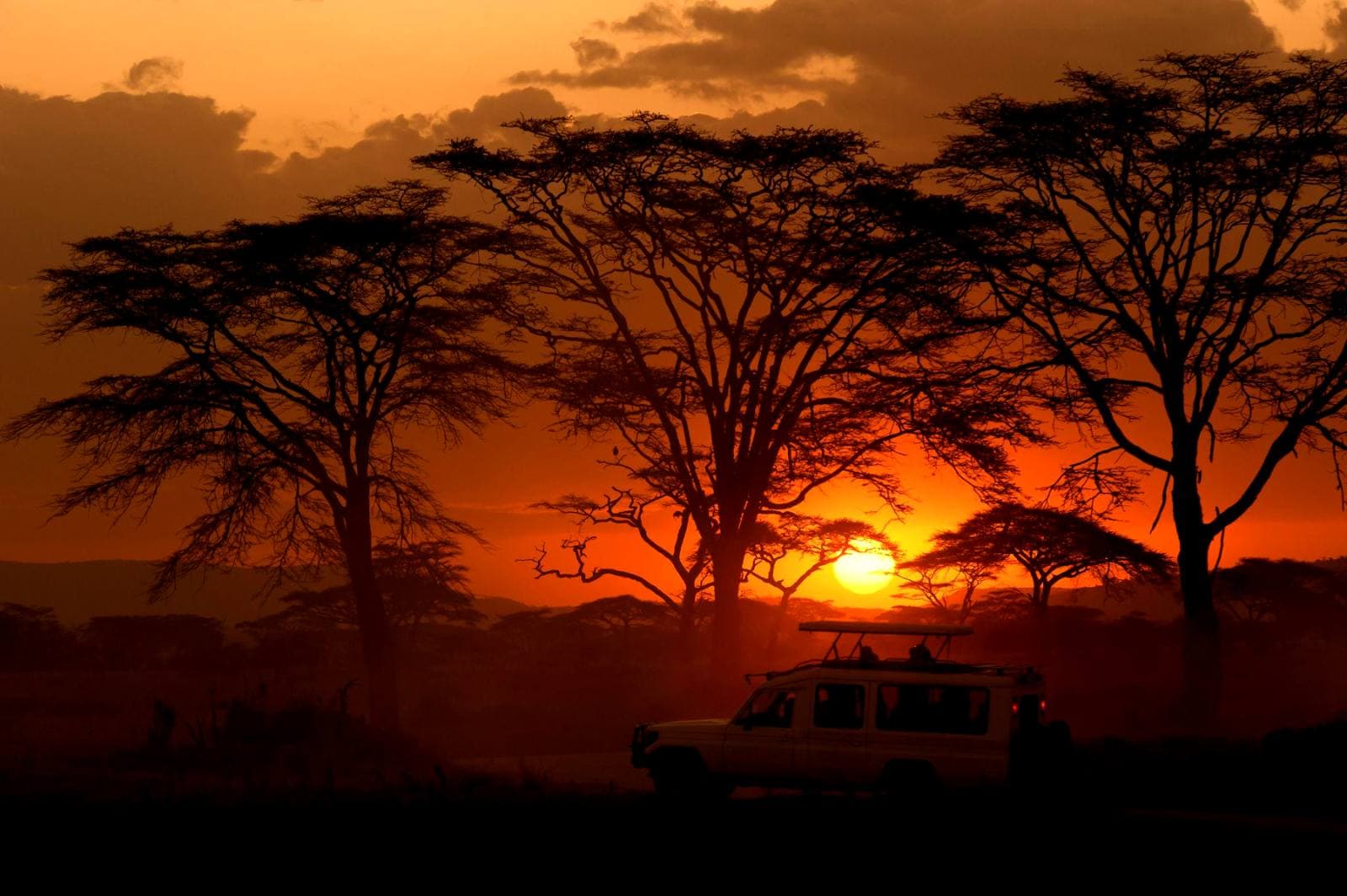 Traveller exploring remote Tanzanian wilderness on foot with a guide