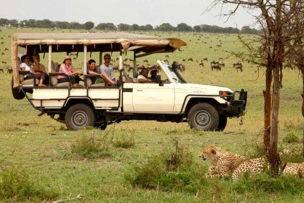 Family quietly observing wildlife from a safari vehicle in Tanzania