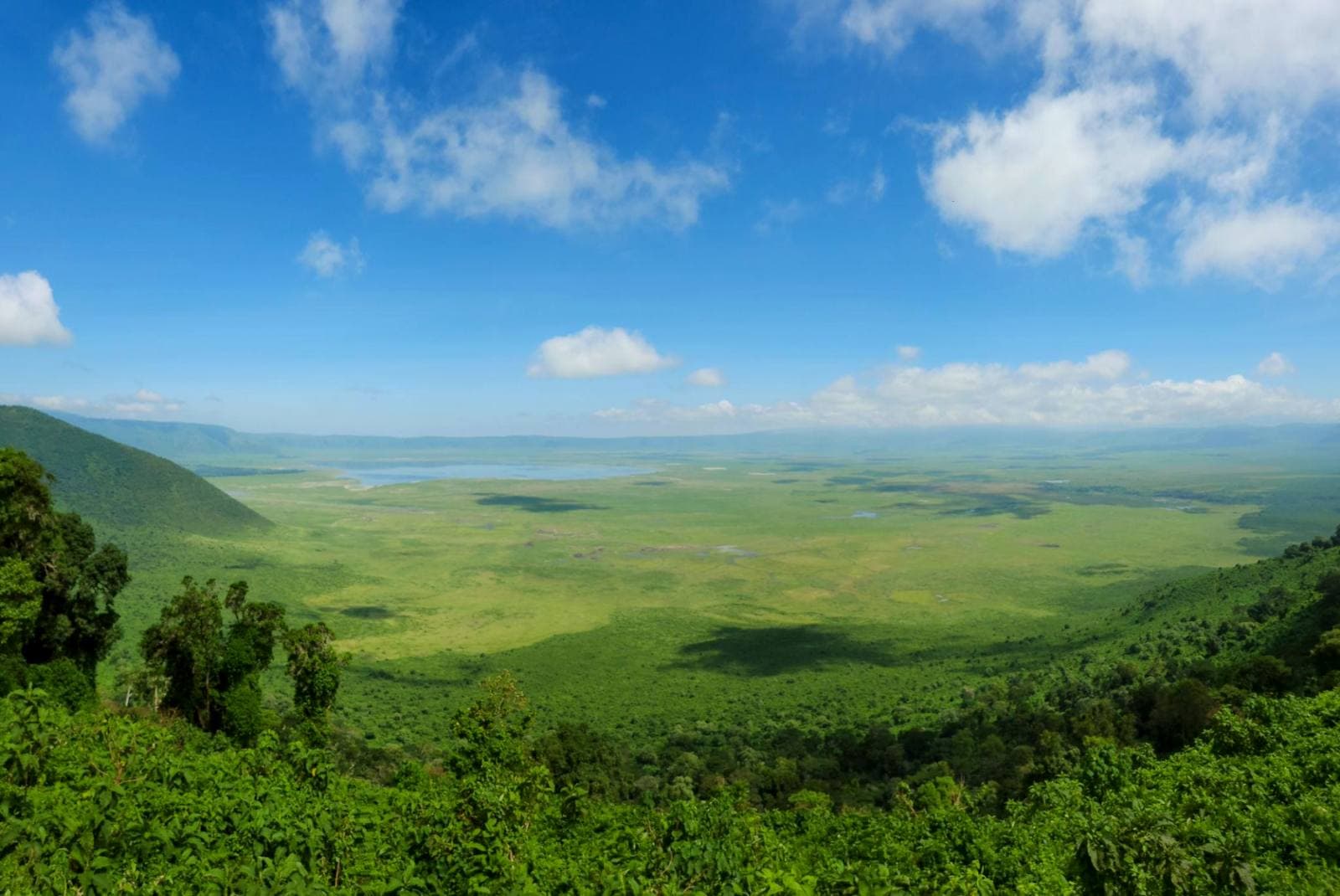 Ngorongoro Crater seen from the rim in soft morning light