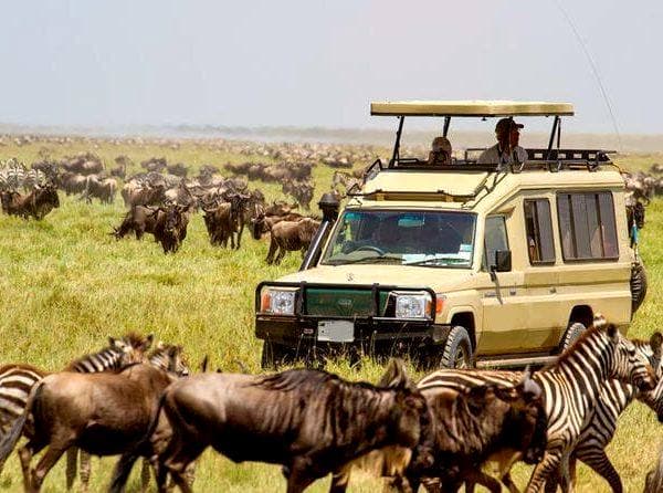 eXvo safari vehicle crossing the Tanzanian plains on a tailor-made journey