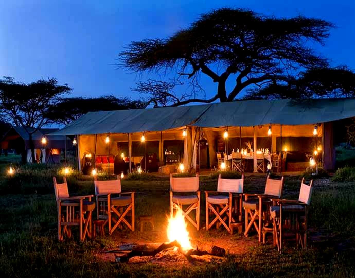 Camp and bush at night, when a different side of Tanzanian wildlife emerges